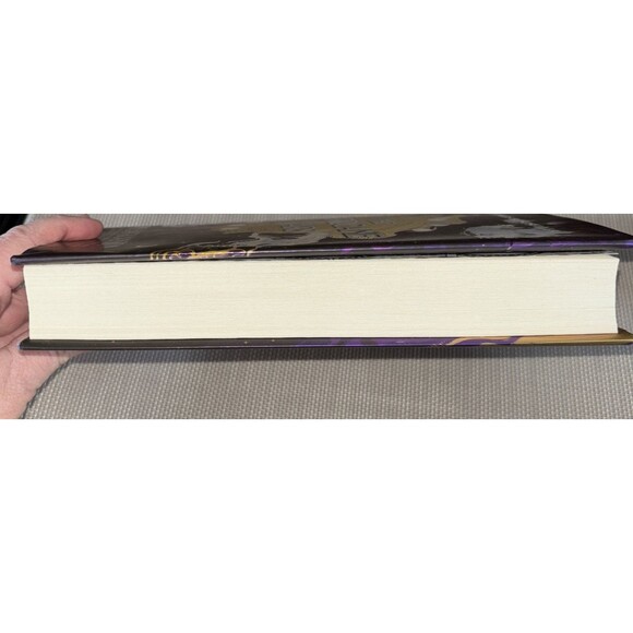 The Hurricane Wars by Thea Guanzon (Hardcover)Preowned Great Condition Fantasy - Picture 4 of 10